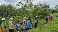 Anak-anak berjalan menelesuri jalan setapak di Lereng Merapi. (foto : istimewa)